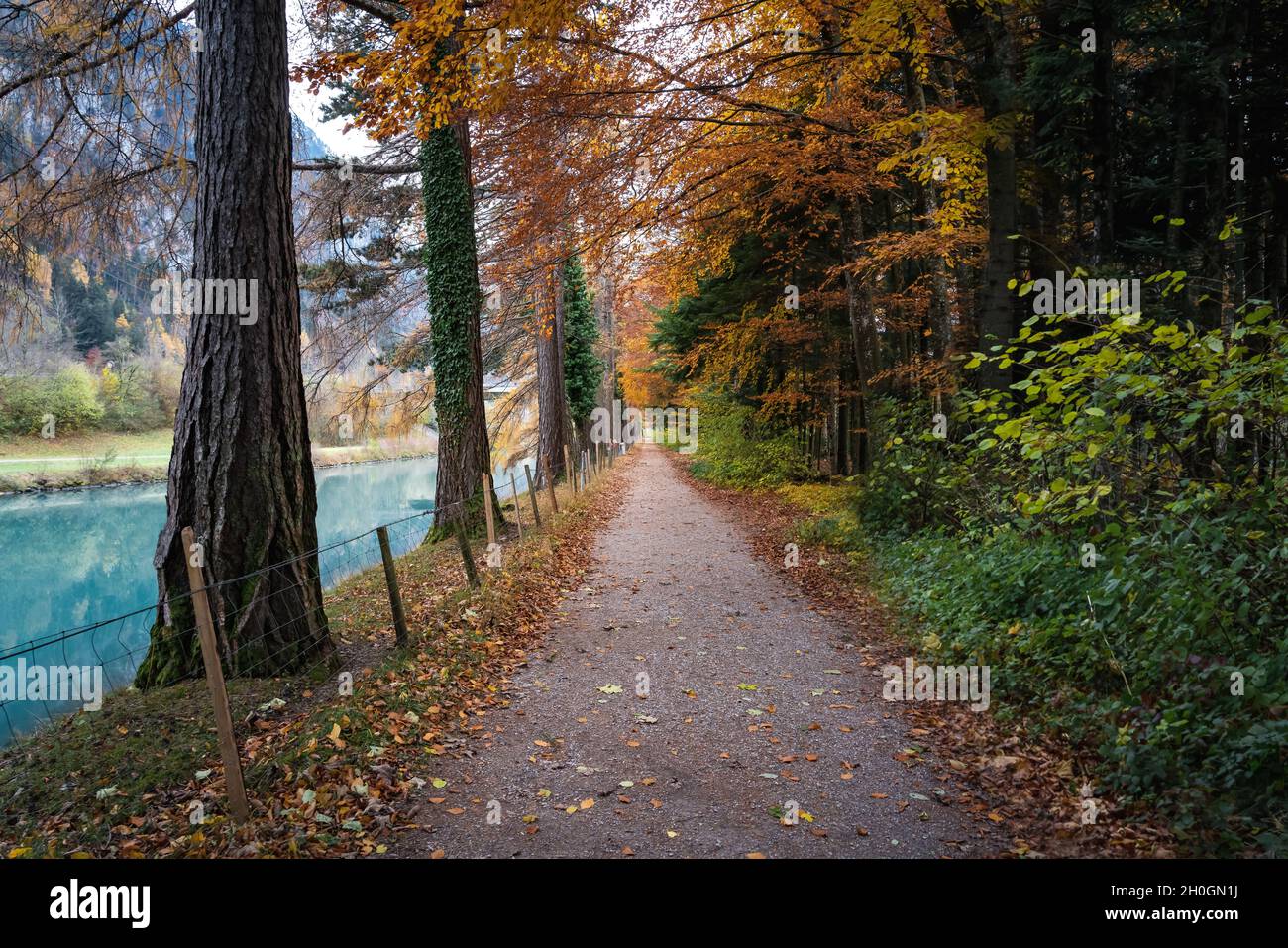 Magnifique sentier d'automne au bord du canal de l'Aare - Interlaken, Suisse Banque D'Images