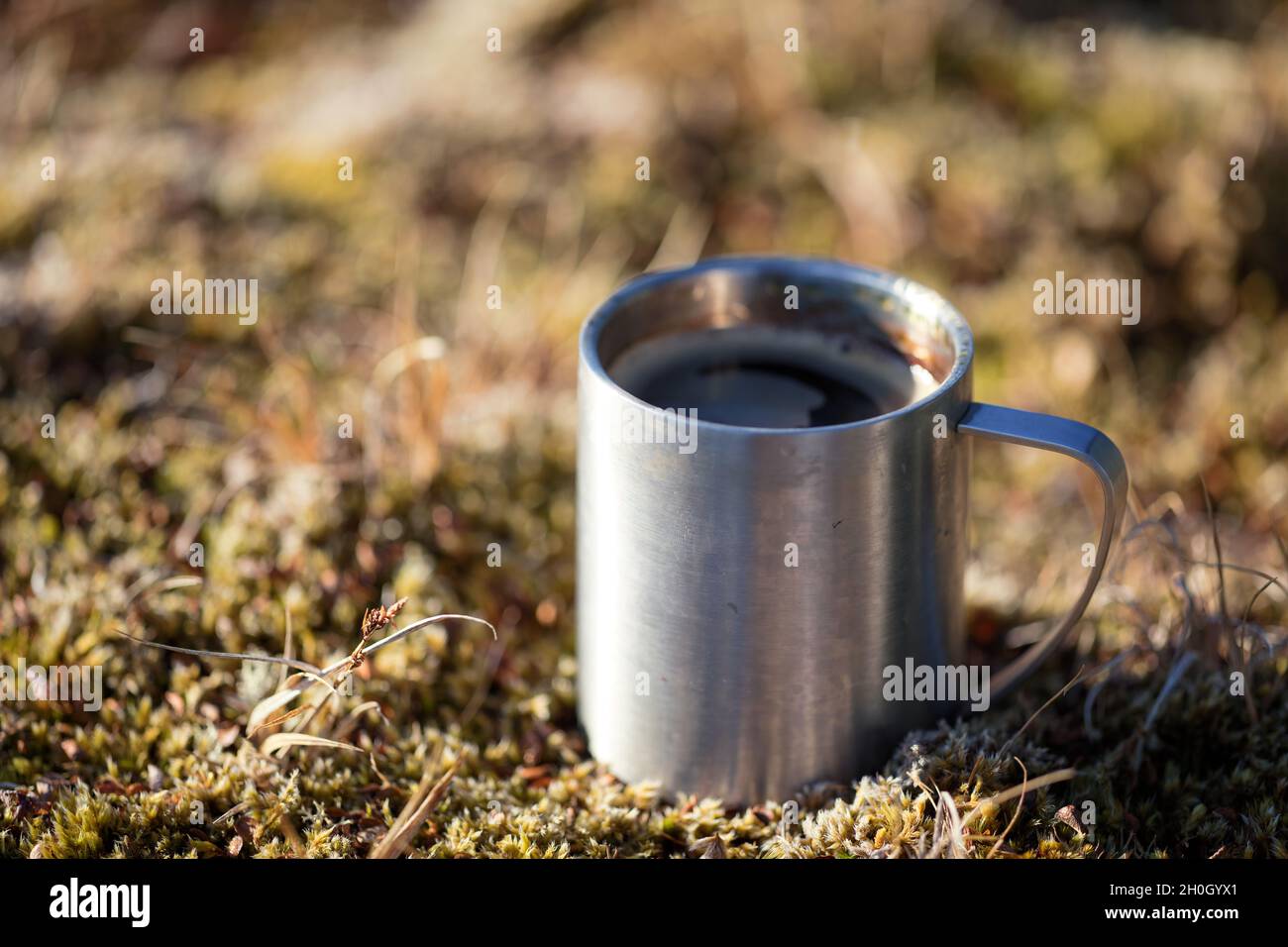 Tasse de café pendant la randonnée à l'extérieur d'Abisko, Suède Banque D'Images