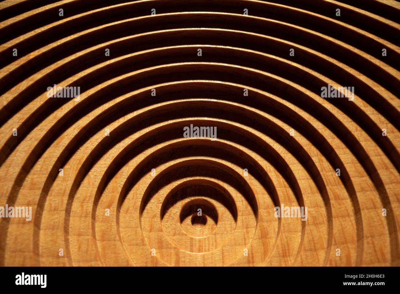 Vue aérienne d'une plaque circulaire géométrique verticale en hêtre.Assiette ronde concentrique en hêtre clair et ombre. Banque D'Images