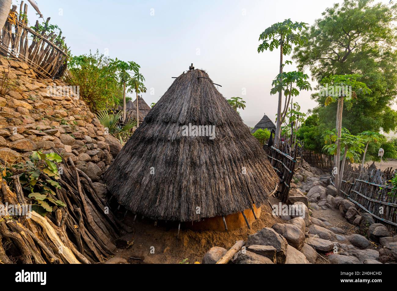 Construction de huttes de la tribu Otuho ou Lutoko dans un village des montagnes Imatong, Equatoria de l'est, Soudan du Sud Banque D'Images