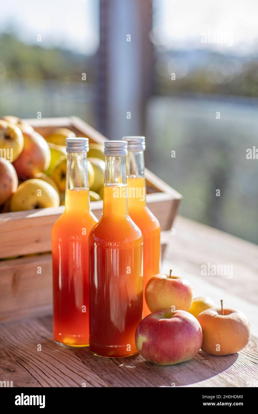 Jus de pomme naturellement nuageux, fait maison dans une bouteille de jus avec des pommes dans une caisse de pomme avec lumière d'automne Banque D'Images