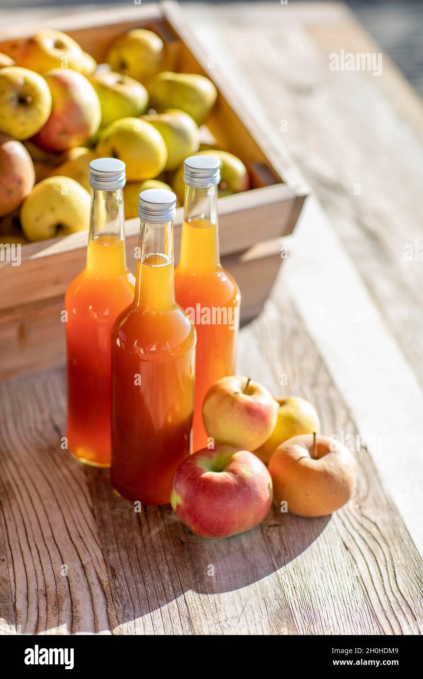 Jus de pomme naturellement nuageux, fait maison dans une bouteille de jus avec des pommes dans une caisse de pomme avec lumière d'automne Banque D'Images