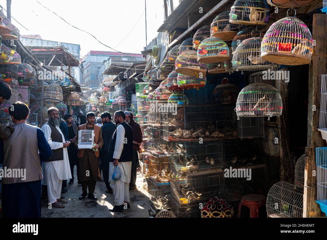Oiseaux à vendre, rue Bird, Kaboul, Afghanistan Banque D'Images
