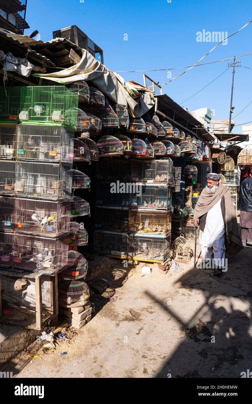 Oiseaux à vendre, rue Bird, Kaboul, Afghanistan Banque D'Images