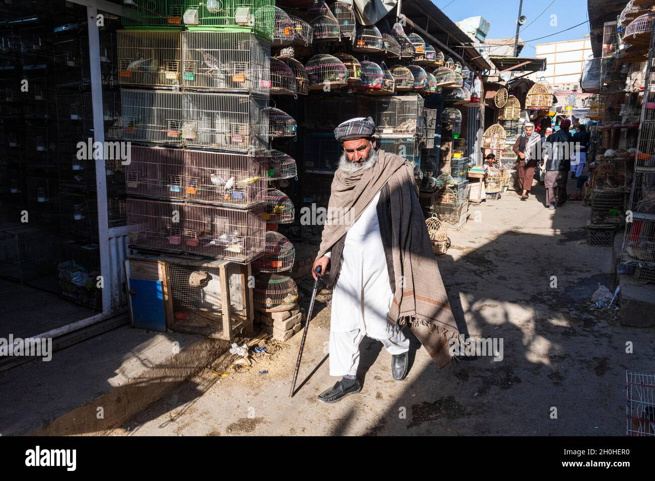 Oiseaux à vendre, rue Bird, Kaboul, Afghanistan Banque D'Images