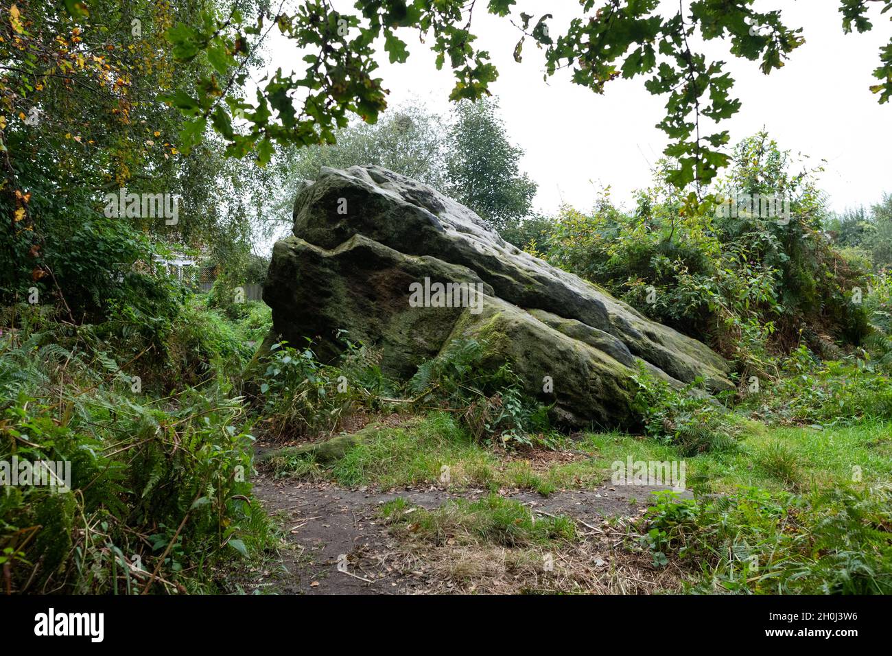 Buck Stone, Adel Woods, Alwoodley, Leeds, West Yorkshire,Angleterre, Royaume-Uni Banque D'Images