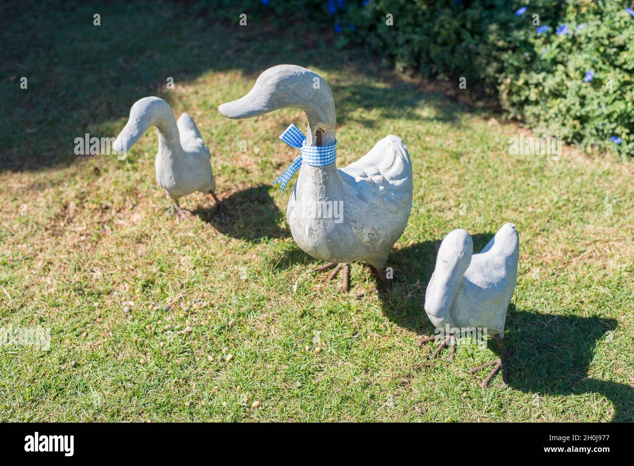 Statue de canard blanche en ciment dans un jardin Banque D'Images