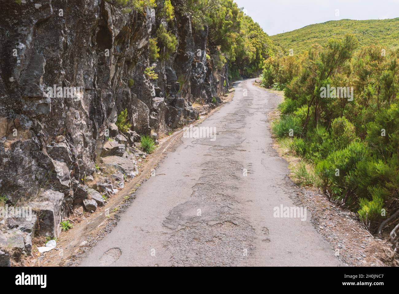 Vieille route dans la forêt de montagne sur l'île de Madère par jour Banque D'Images