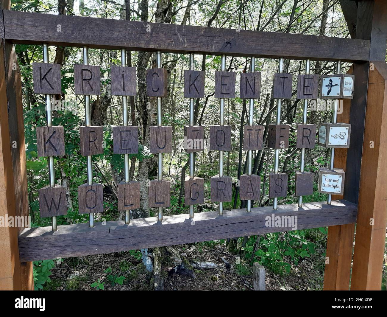 station d'un sentier de nature avec des cubes de lettre en bois Banque D'Images