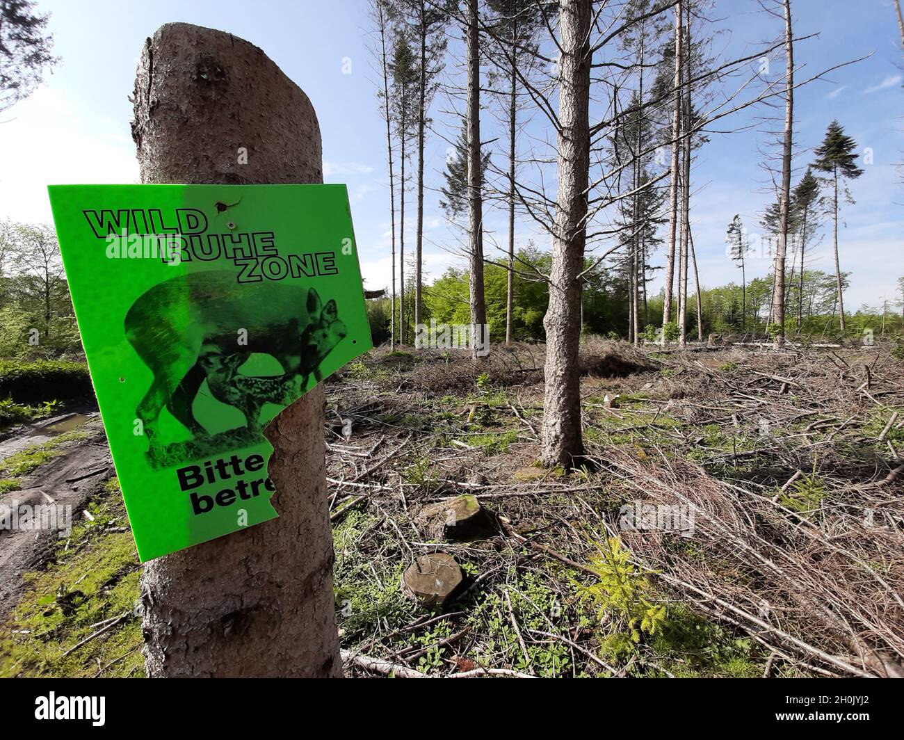 panneau endommagé pour la protection de la faune dans la forêt Banque D'Images