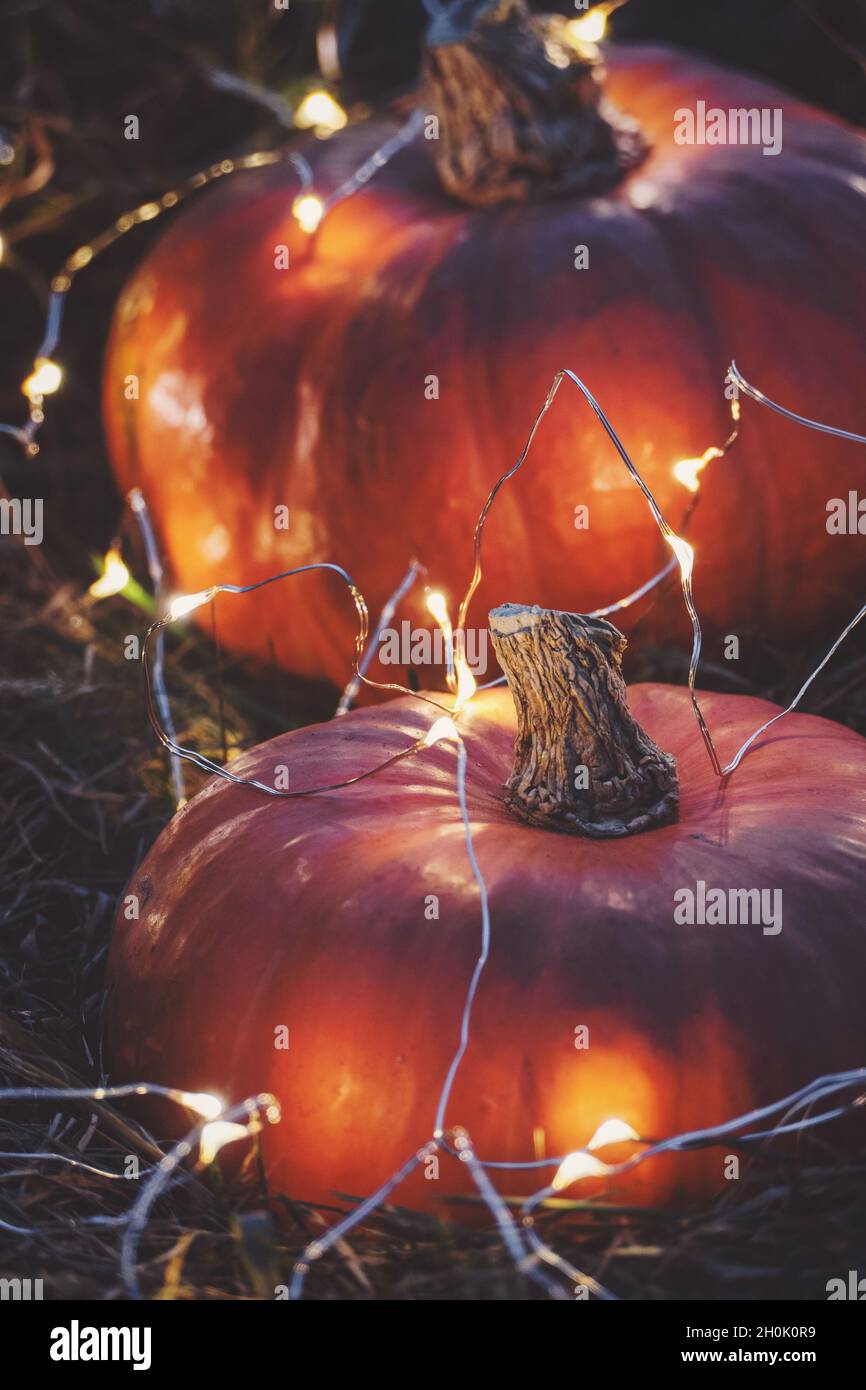 Halloween fête nuit fond avec citrouilles et lumières orange, prise verticale Banque D'Images