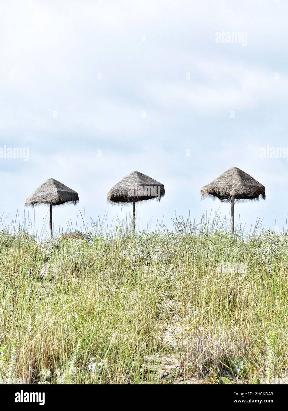 Une composition centrale de trois parasols de plage seuls.la photo est prise pendant l'été à Sinemorets, Bulgarie.c'était une belle journée de plage. Banque D'Images