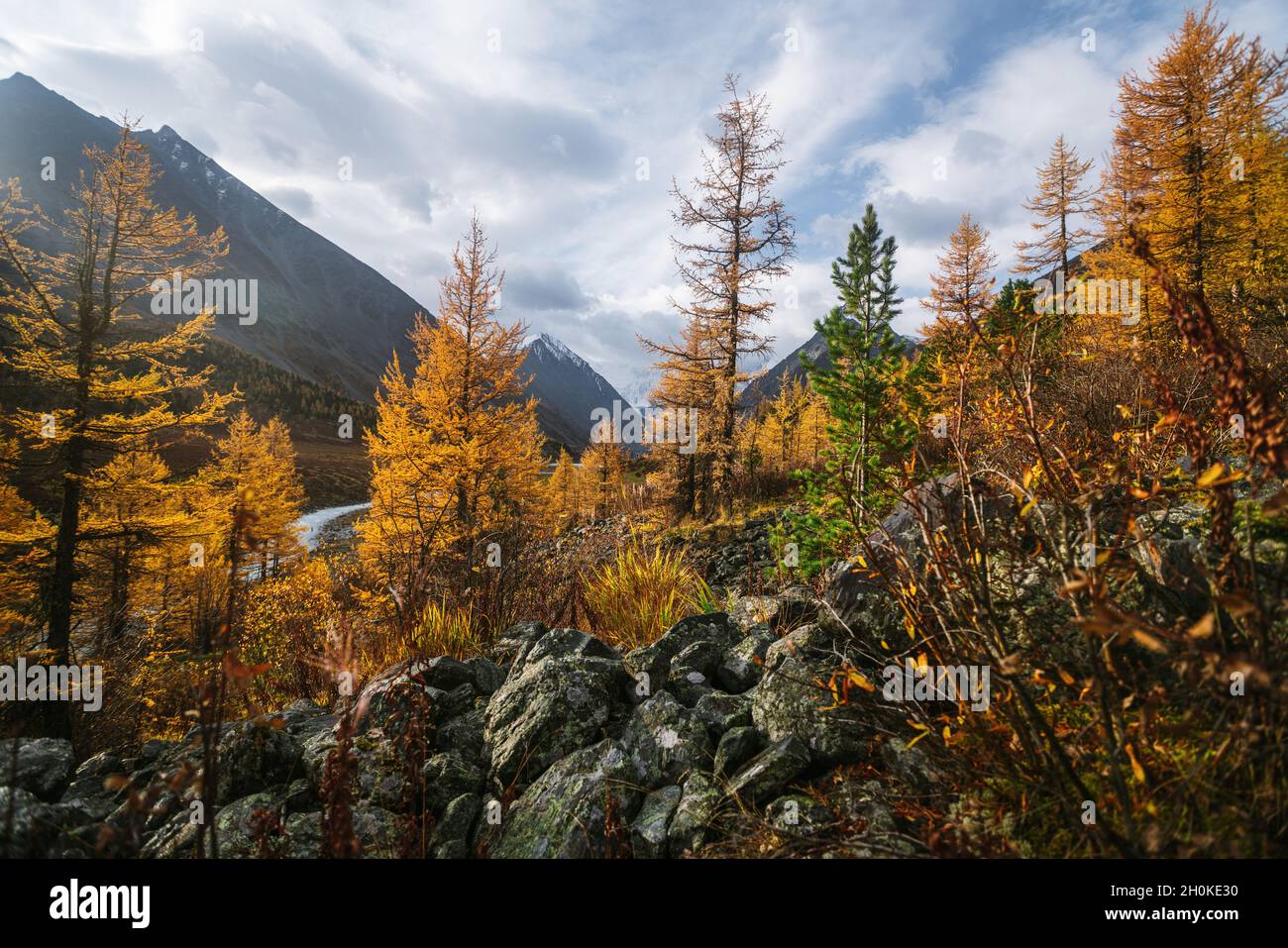 Dans la vallée de Akkem Parc Naturel des montagnes de l'Altaï Banque D'Images