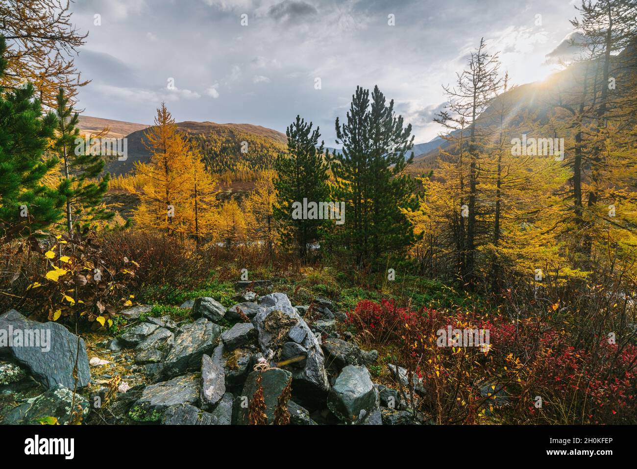 Dans la vallée de Akkem Parc Naturel des montagnes de l'Altaï Banque D'Images