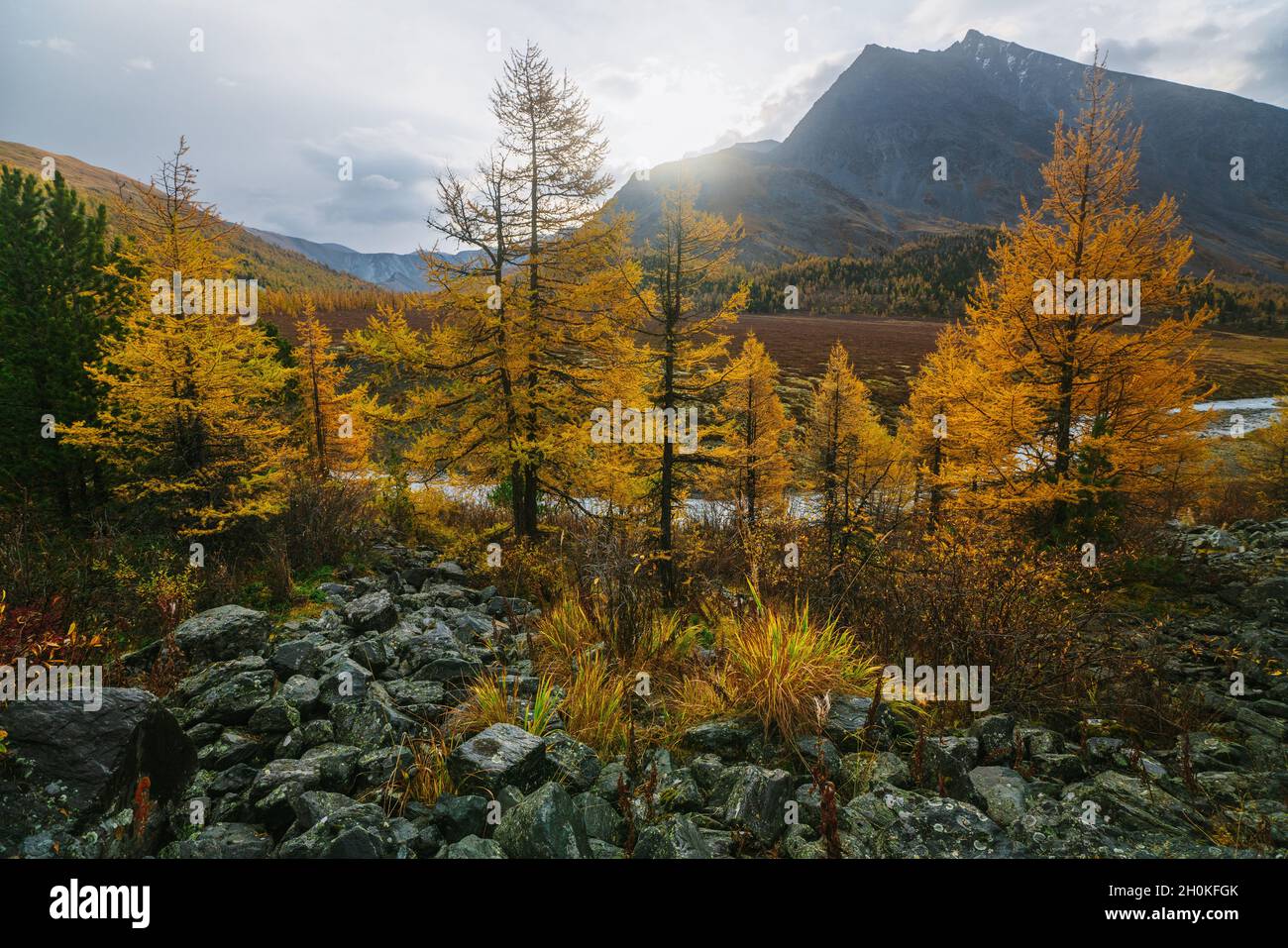 Dans la vallée de Akkem Parc Naturel des montagnes de l'Altaï Banque D'Images