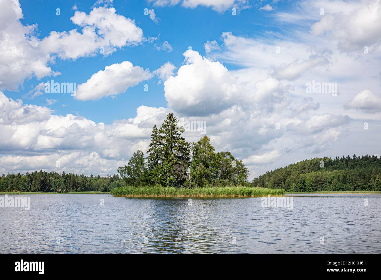 Vue sur un lac scandinave avec un ciel bleu avec des nuages blancs moelleux, des arbres verts en arrière-plan et une petite île au centre. Banque D'Images