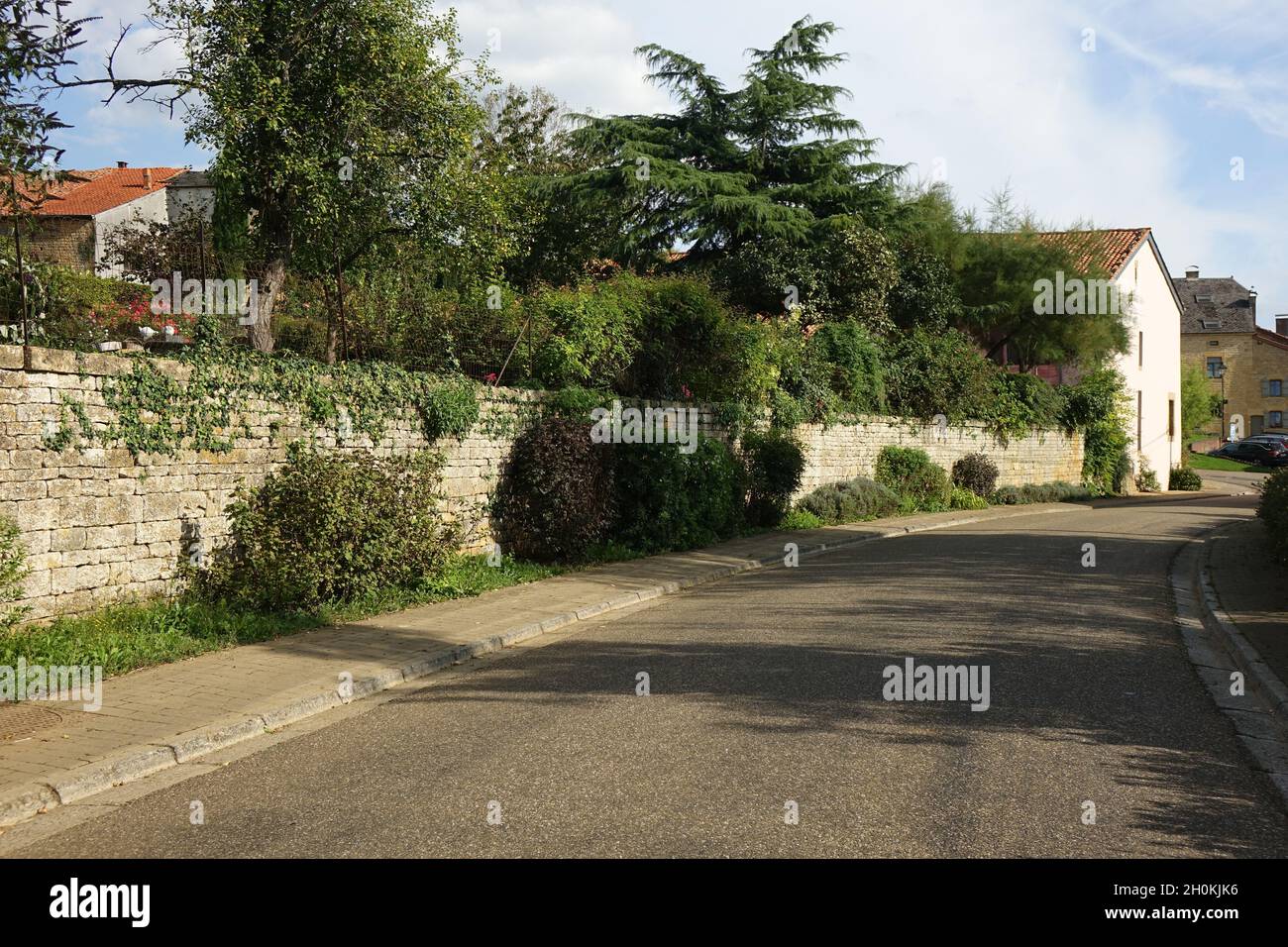 Scène de rue avec des buissons, des arbres et un grès surcultivé à Torgny, Rouvroy, Luxembourg, Wallonie, village le plus au sud de la Belgique Banque D'Images