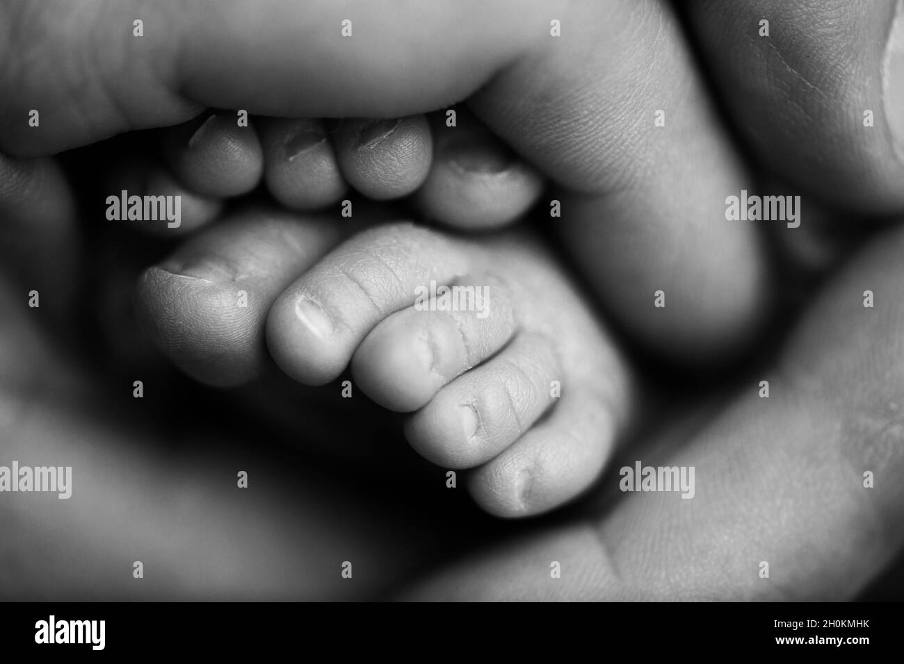 Les petits pieds d'un nouveau-né dans les mains d'un parent. Bébé d'une semaine. Banque D'Images