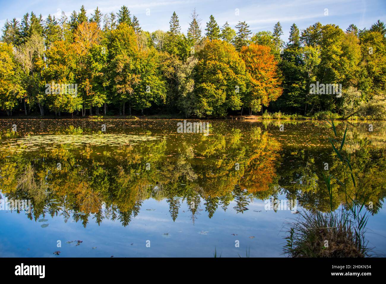 Différentes couleurs de la nature sur un jour d'automne clair à la rivière avec miroir Banque D'Images