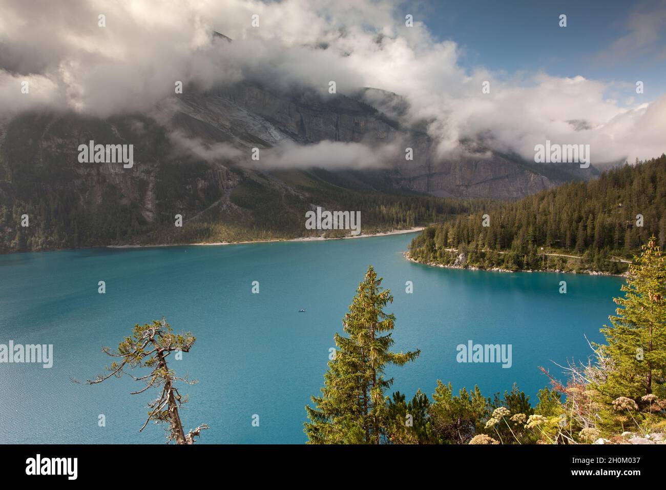 Lac Oeschinen avec larches Banque D'Images