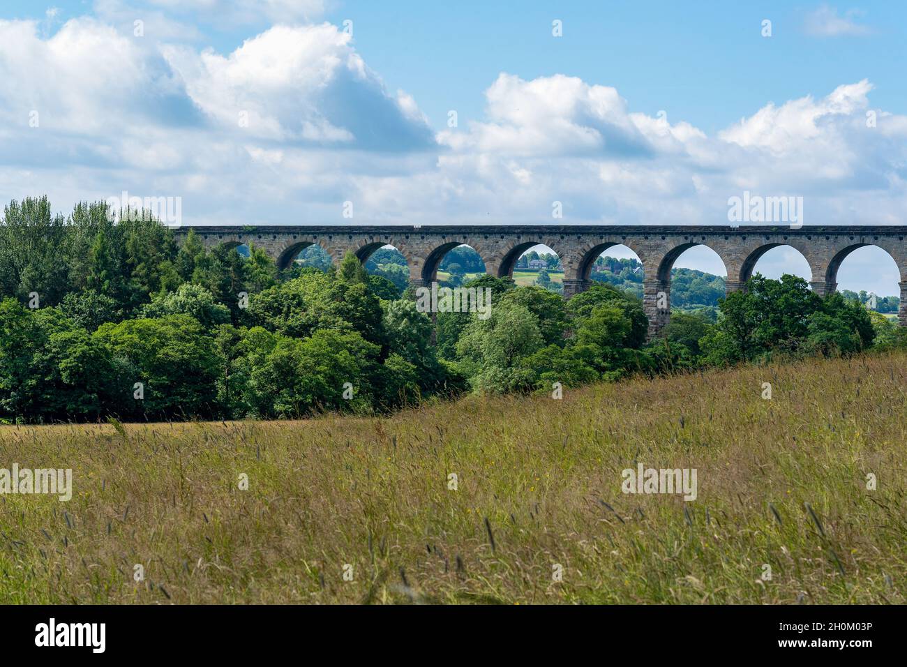 Traverser la Crimple Valley à Harrogate est un viaduc de pierre avec de nombreuses arches, North Yorkshire, Angleterre, Royaume-Uni. Banque D'Images