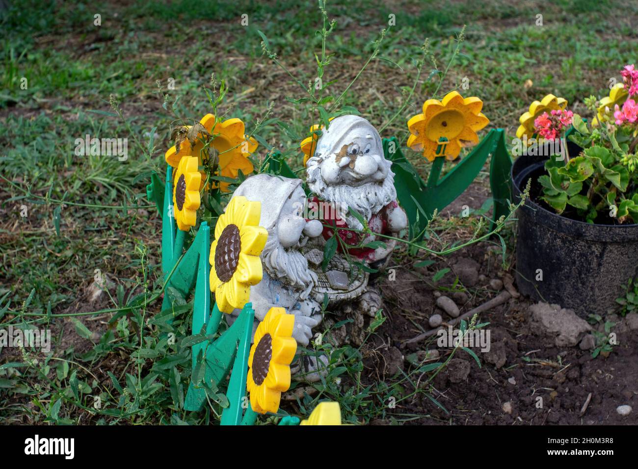 jardin figure d'un nain dans le jardin, en été Banque D'Images