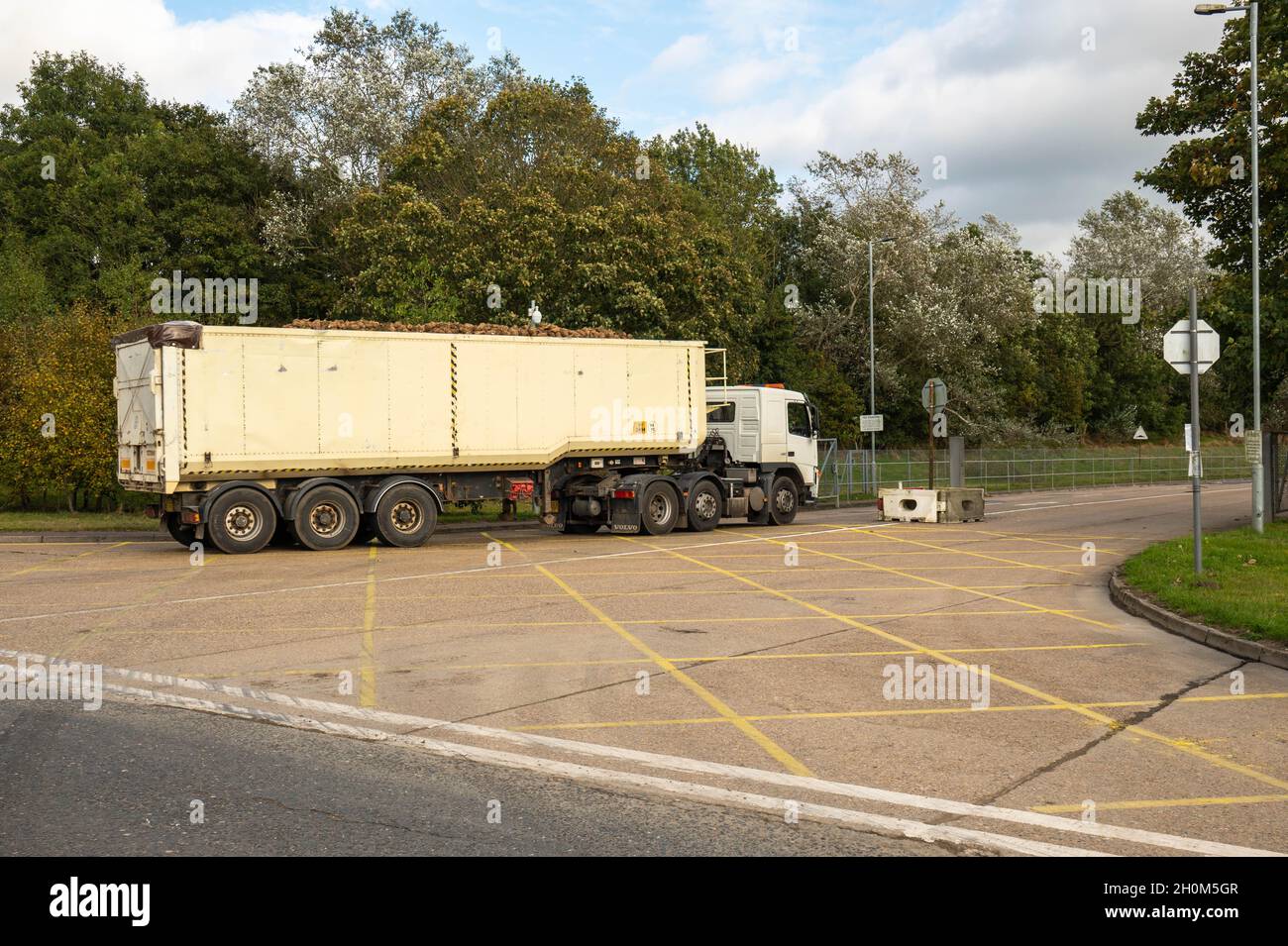 La betterave à sucre est livrée par des camions articulés à l'usine de betterave à sucre de Cantley, à norfolk, en Angleterre Banque D'Images