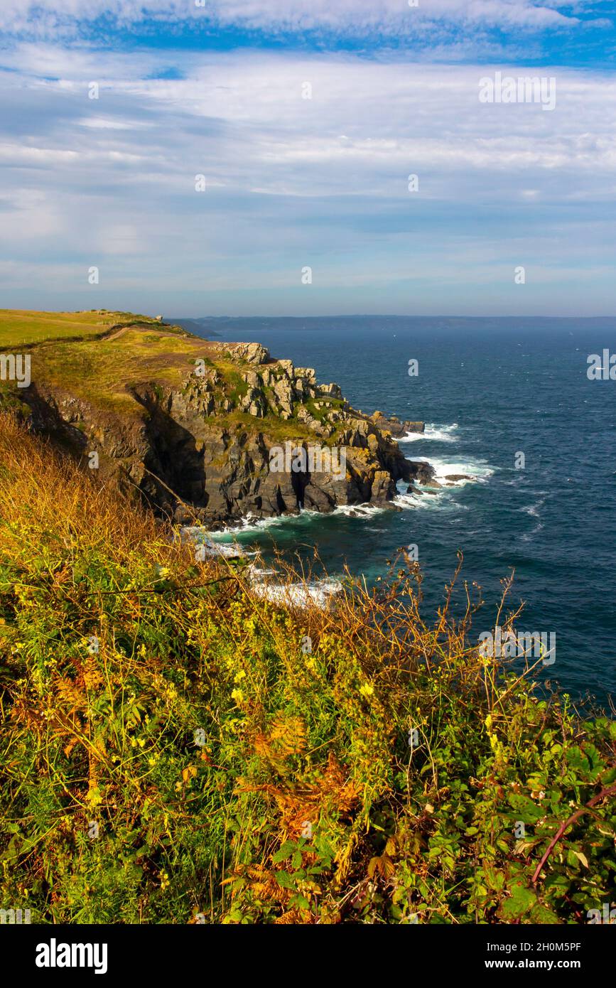 Falaises rocheuses et côte en été sur le South West Coast Path à Lizard point, dans le sud de Cornwall, en Angleterre. Banque D'Images
