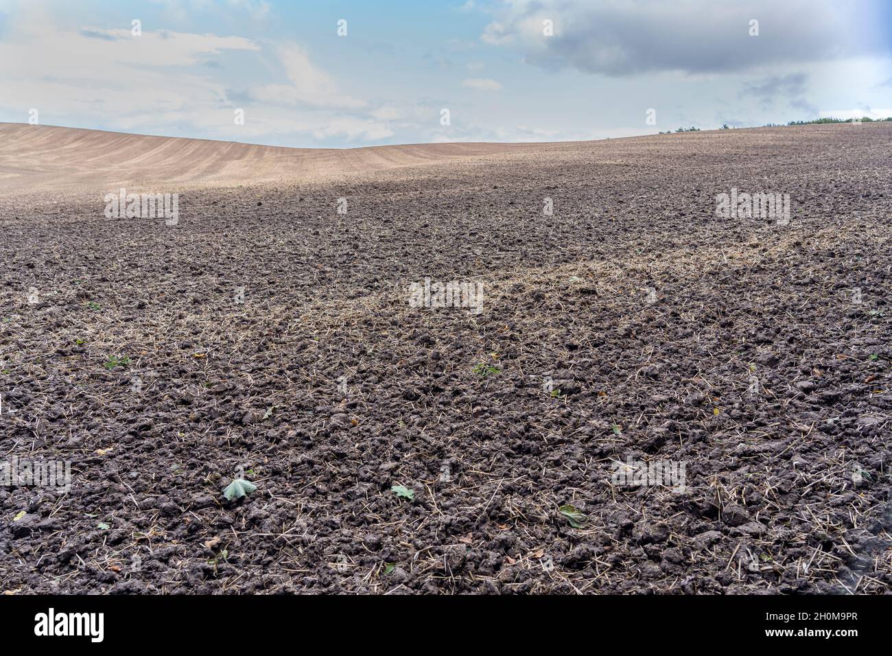 terrain boueux prêt pour l'ensemencement Banque D'Images