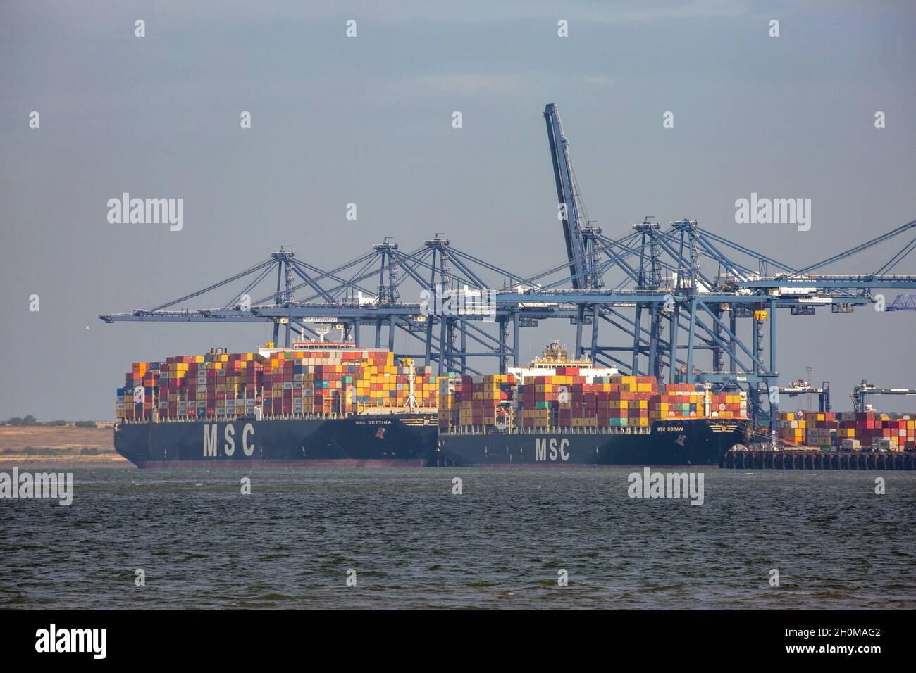 La photo datée du 12 octobre montre que le navire Genius livrant des conteneurs dans le port de Felixstowe à Suffolk mardi matin.en raison de la pénurie de chauffeurs de HGV, il y a un retard qui fait que les conteneurs restent dans le port et ne livrent pas aux usines et magasins dans tout le pays.D'énormes tours de conteneurs d'expédition remplis de produits de Noël sont empilées 100ft haut dans le port de Felixstowe ce matin (mardi) comme ils attendent d'être ramassés.BritainÕs le plus grand port de conteneurs est devenu sévèrement congestionné ces dernières semaines et a maintenant du mal à faire face au volume de cargaison passant par, Banque D'Images