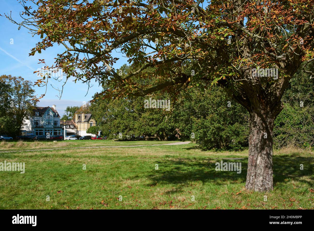 Chislehurst Common dans le quartier de Londres de Bromley, Kent, sud-est de l'Angleterre, en regardant vers le Crown Inn Banque D'Images