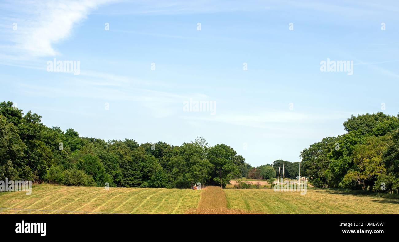 La tonte du foin est courante dans la campagne pendant les chaudes journées d'été.Cette vue panoramique illustre les travaux agricoles en cours. Banque D'Images
