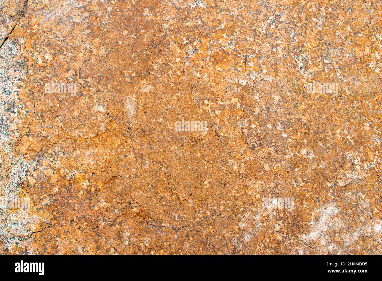 Fond brut de texture de granit jaune doré.Fond naturel de texture de pierre de roche.Grades de granit.Minéraux de couleur moscovite en granit Banque D'Images