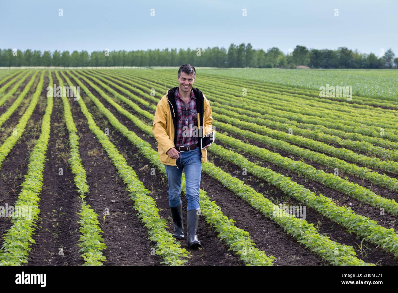 Jeune fermier beau avec des tablettes marchant dans le champ de soja au printemps.Concept d'agro-industrie et d'innovation Banque D'Images