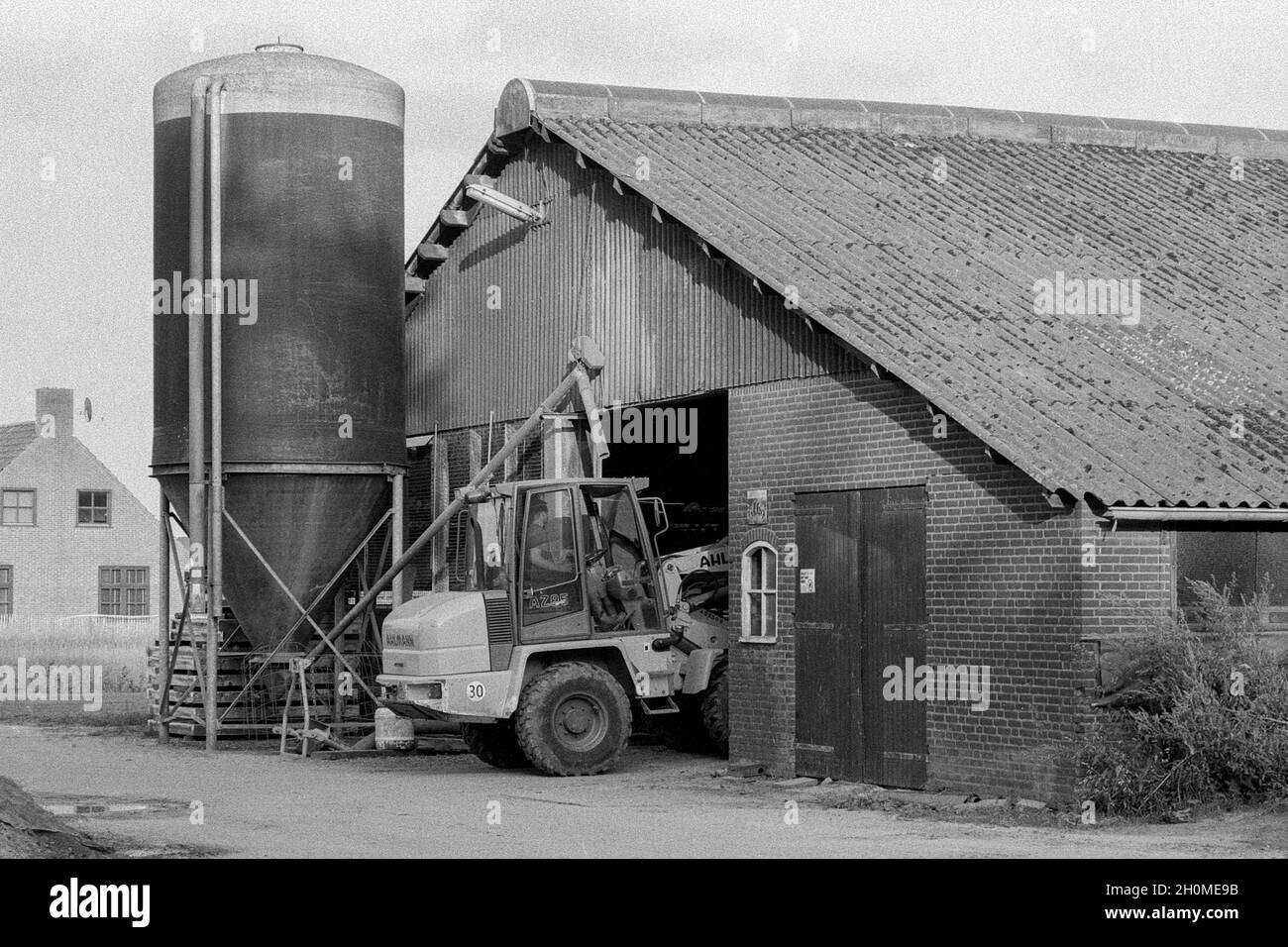 Tilburg, pays-Bas.Ancienne ferme usée et stable bientôt à remplacer par une nouvelle structure.Malheureusement, l'agriculture n'est plus une activité économique financièrement saine, ce qui rend difficile d'investir dans de nouveaux biens immobiliers bluid pour soutenir cette entreprise.Collection : gkf-analoog Banque D'Images