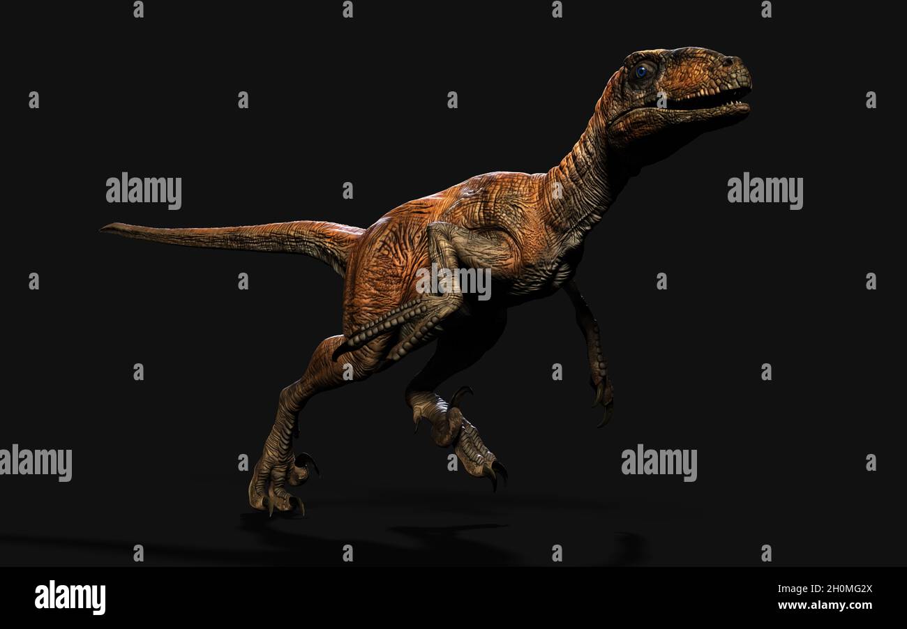 illustration 3d pose de deinonychus antirrhopus les dinosaures les plus emblématiques et représentatifs sur fond sombre avec chemin de coupure. Concept de dinosaures. Banque D'Images