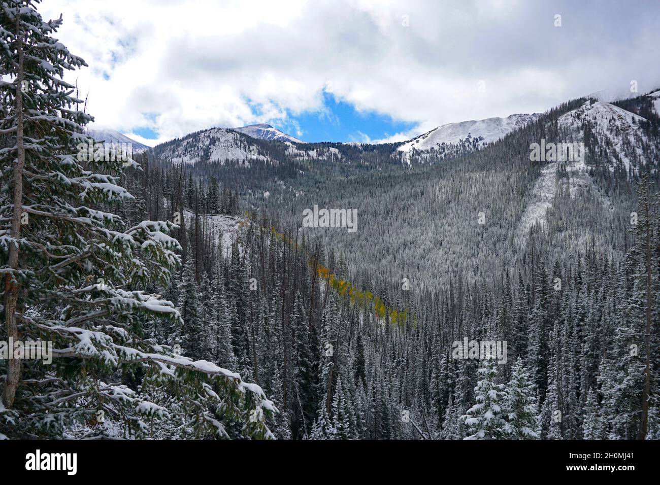 La neige de Septmeber dans les montagnes Rocheuses couvre la couleur de l'automne avec de la neige Banque D'Images