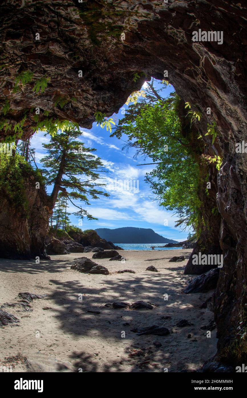 Vue sur la plage depuis les grottes du parc provincial Cape Scott, sur l'île de Vancouver Banque D'Images