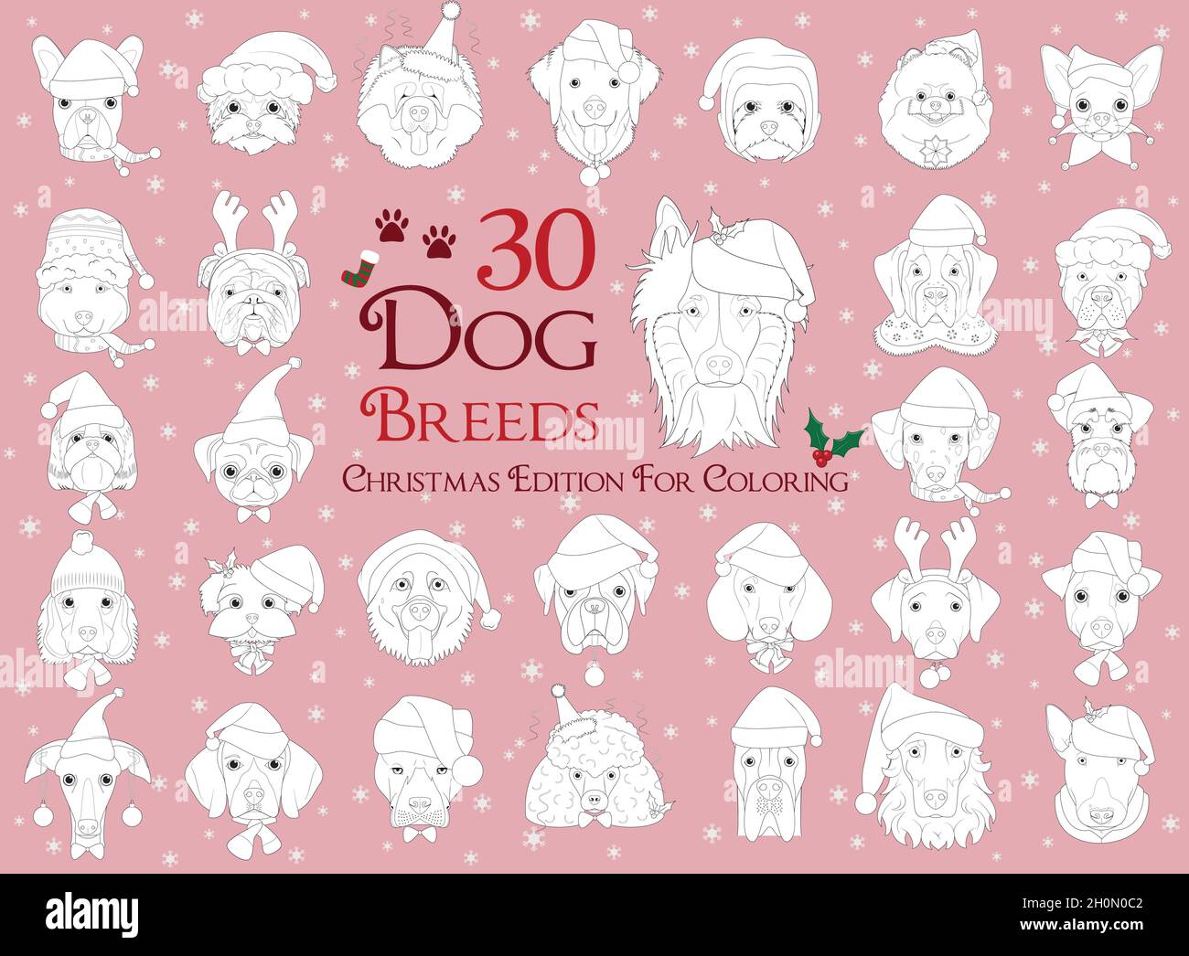 Ensemble de 30 races de chiens à colorier avec thèmes de Noël et d'hiver Illustration de Vecteur