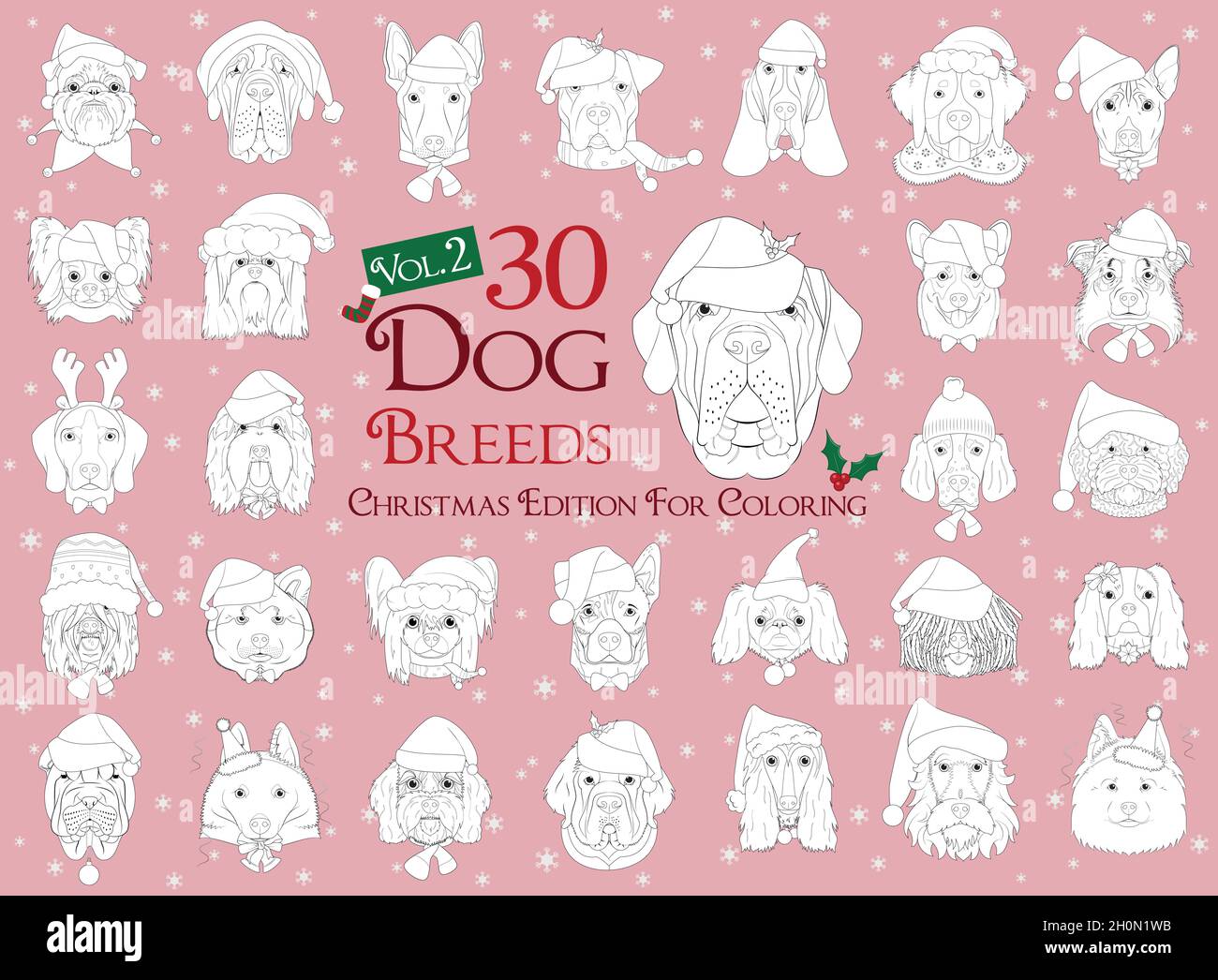 Ensemble de 30 races de chiens à colorier avec thèmes de Noël et d'hiver ensemble 2 Illustration de Vecteur