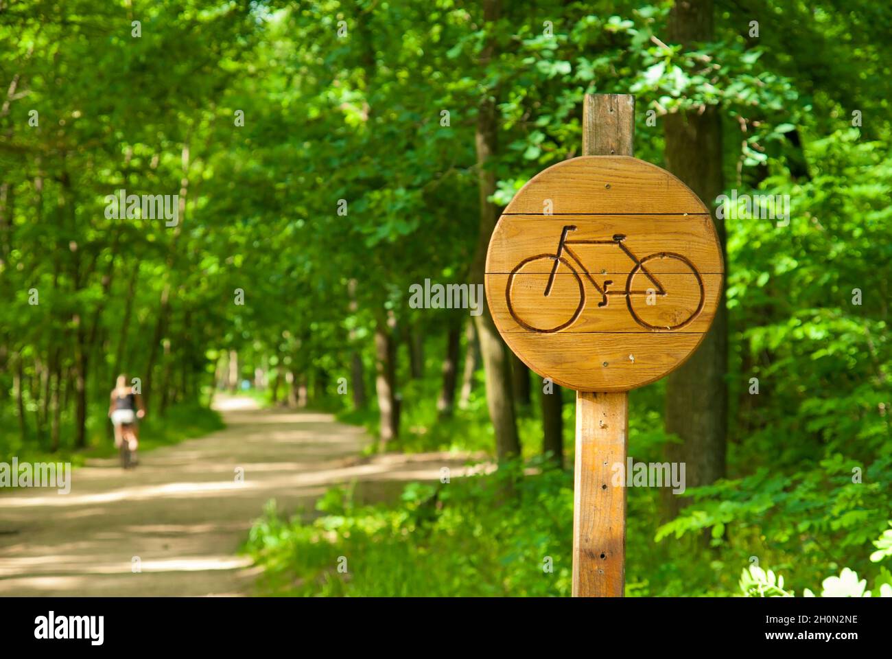 Panneau de signalisation indiquant la piste cyclable en bois Banque D'Images