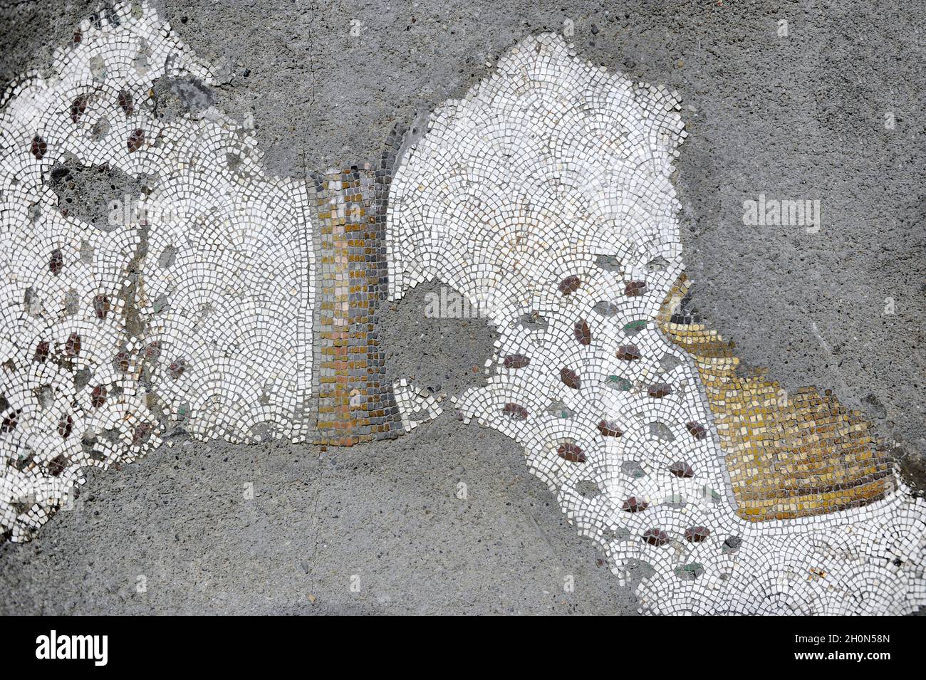 Grand Palais de Constantinople (époque romaine de l'est).Détail de l'une des mosaïques qui a décoré les trottoirs.Prunier.4e-6e siècle.Super Palac Banque D'Images