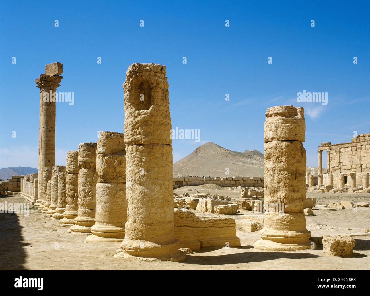 Syrie. Palmyra. Reste. Oasis de Tadmor. (Photo prise avant la guerre civile syrienne. Ces ruines ont été démolies par l'EI en 2015). Banque D'Images