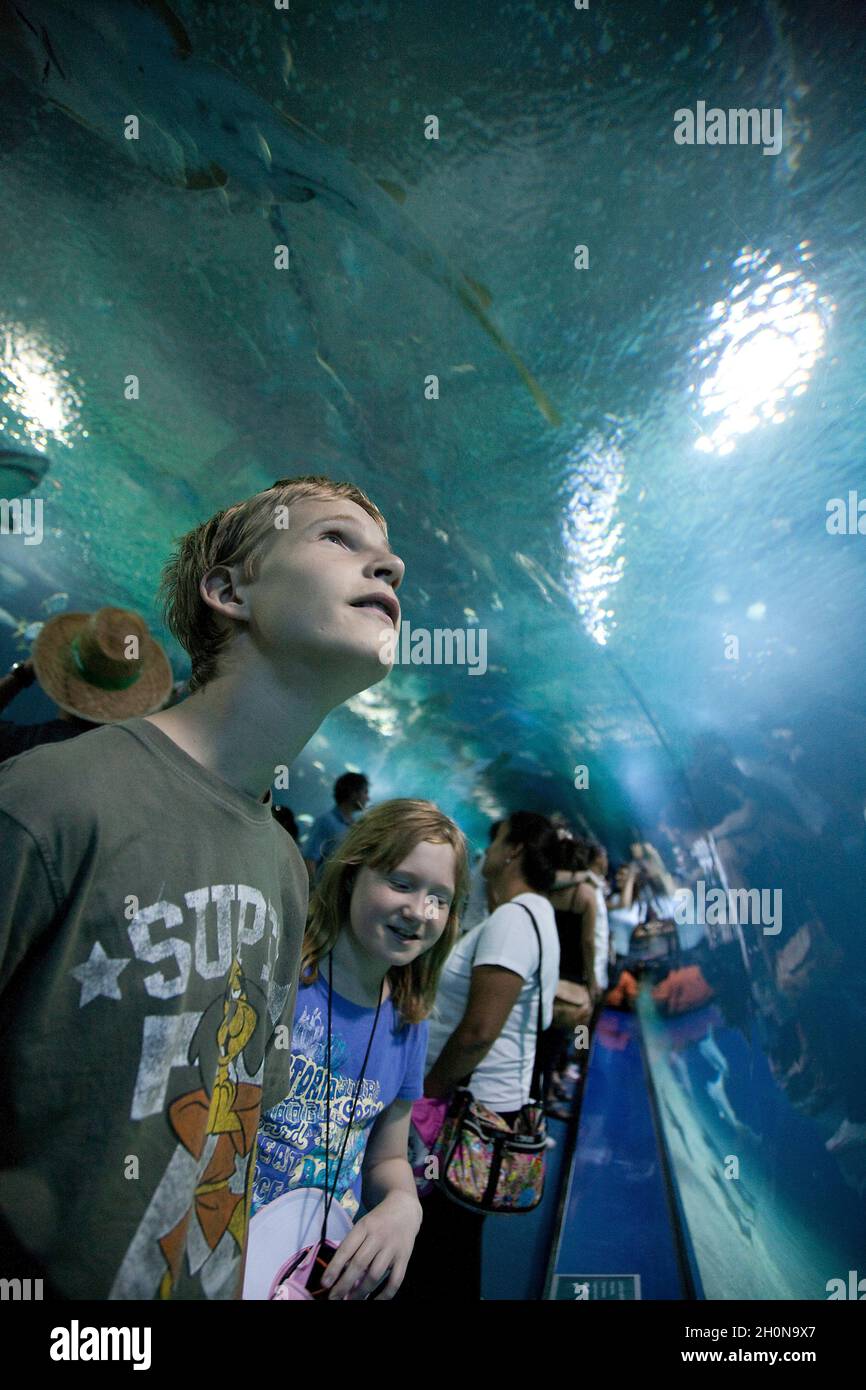 L'Océanografic, un oceanarium situé sur le lit sec de la rivière Turia au sud-est du centre-ville de Valence, Espagne, Banque D'Images