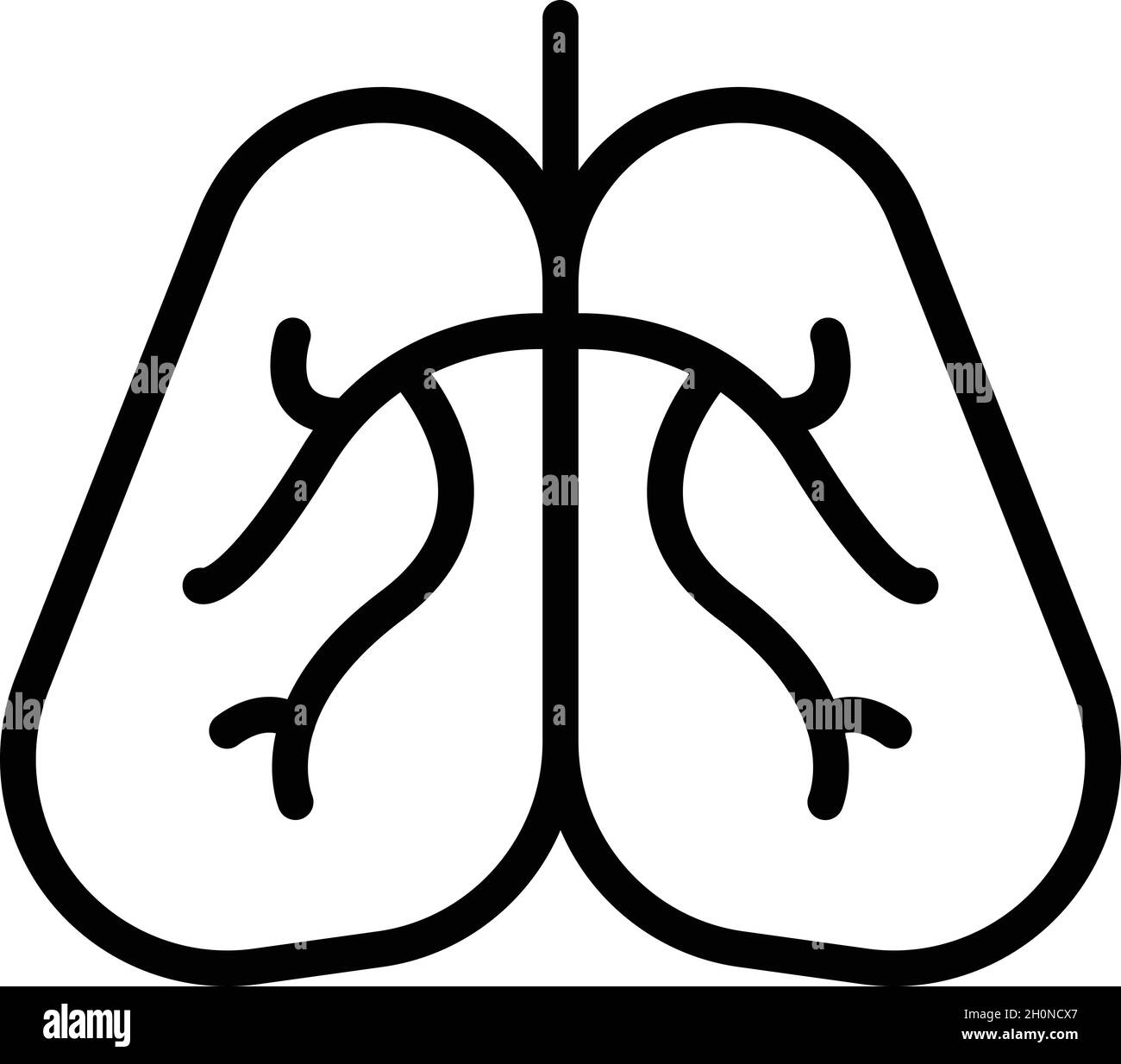 Vecteur de contour de l'icône des poumons humains.Diagnostic roentgen.Hôpital de médecine Illustration de Vecteur
