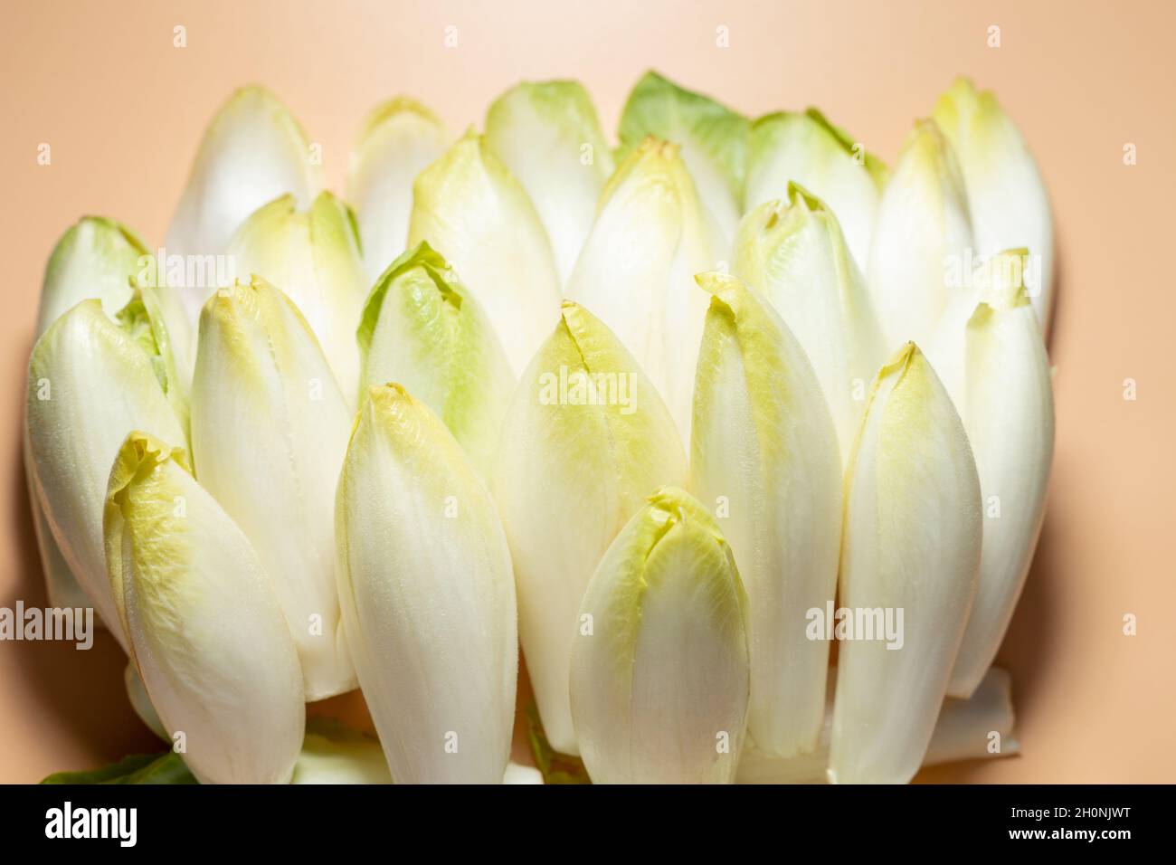 beaucoup d'endives crues salade racines ou chicorée sur fond orange, foyer sélectif Banque D'Images