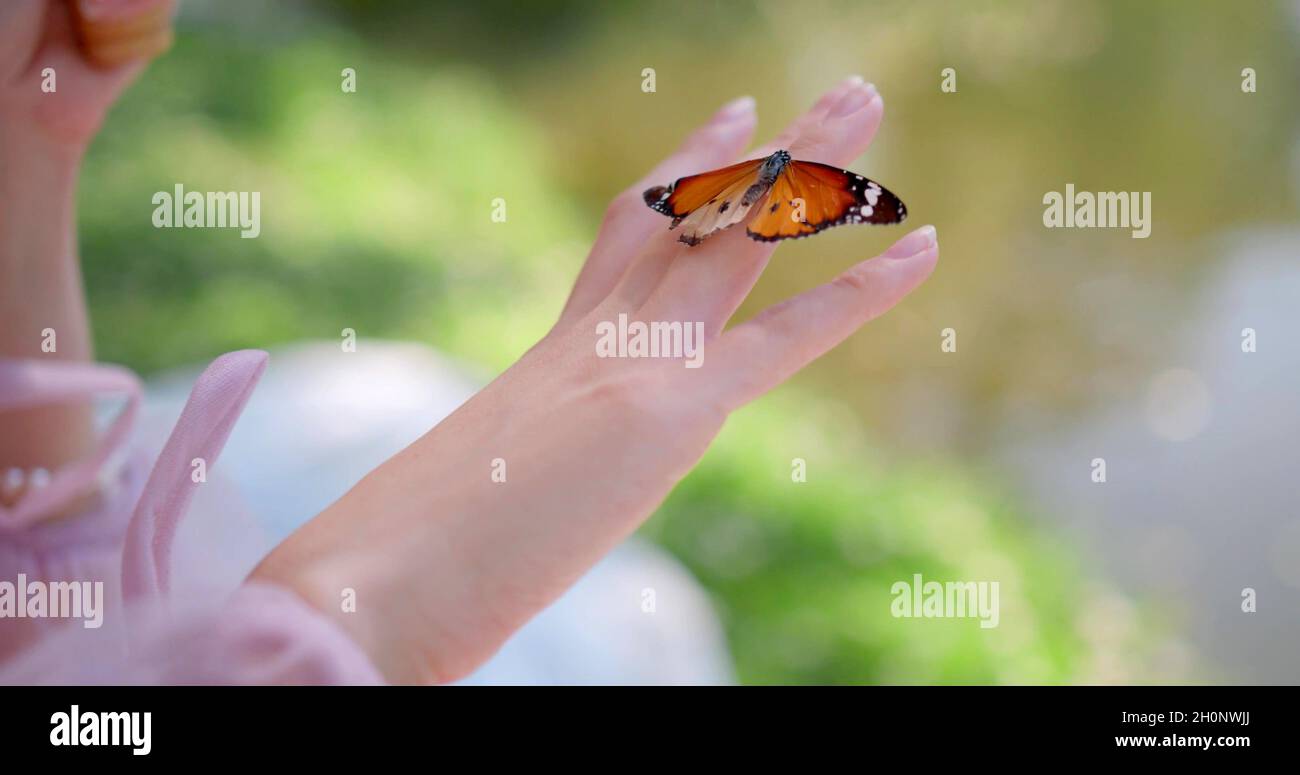 Un papillon sur la main d'une femme Banque D'Images