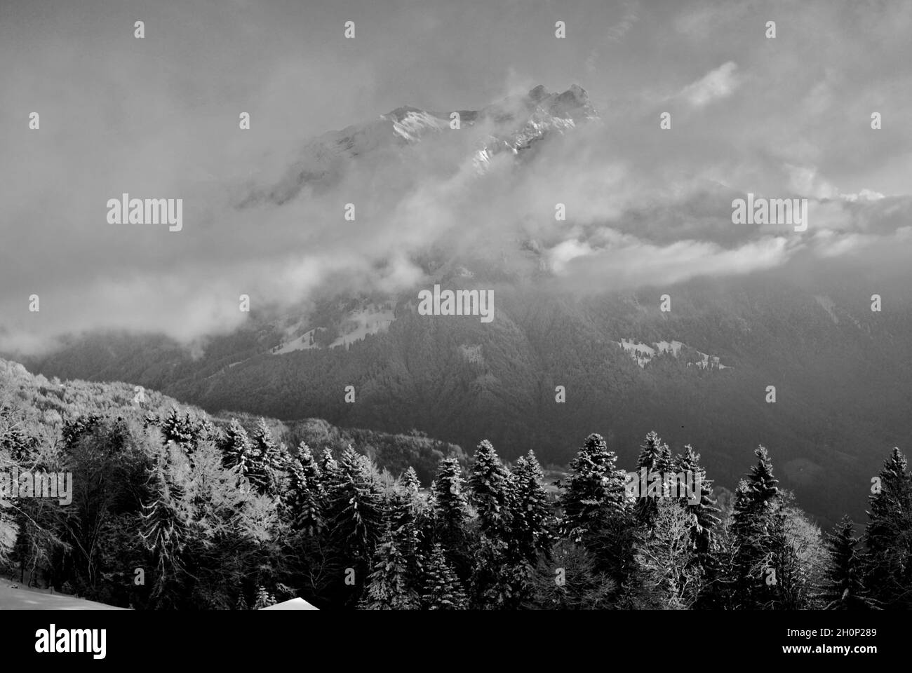 Vue sur les montagnes depuis les Ecovets au-dessus de Villars-sur-Ollon, Suisse Banque D'Images