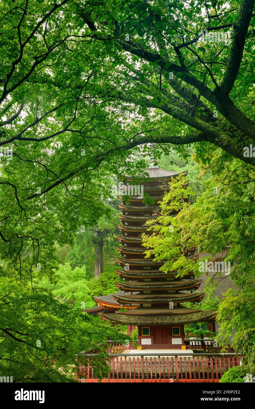 Nara, Japon - 01 juillet 2019 : le Sanctuaire Tanzan Jinja 13 pagode étagée, la seule en existence, Nara, Japon. Banque D'Images