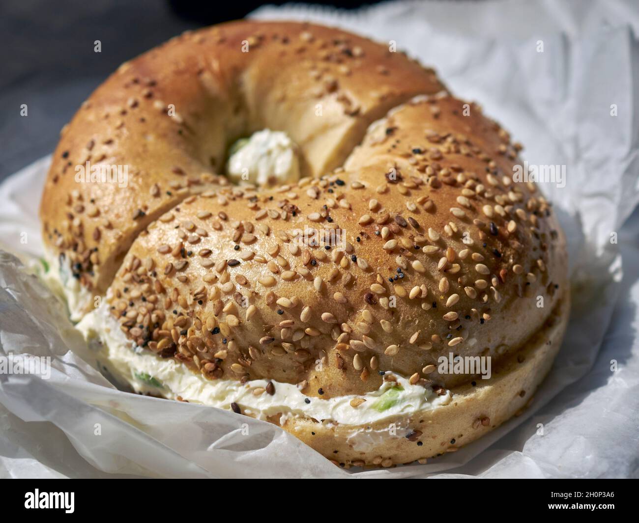 Un bagel tout avec du fromage à la crème de scallion servi dans le comté de Queens, New York City, NY, États-Unis Banque D'Images